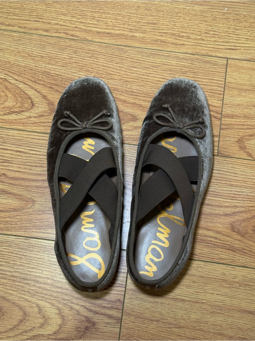 Sam Edelman Arya Ballet Flat